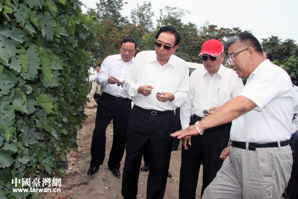 江丙坤与陈云林听取葡萄酒产业发展情况的介绍。