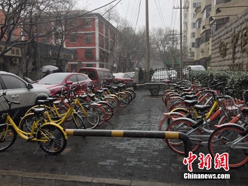 风雪中的共享单车。<a target='_blank' href='http://www.chinanews.com/' _fcksavedurl='http://www.chinanews.com/' ></table><p  align=