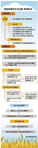 农业部：自愿标识是转基因管理趋势