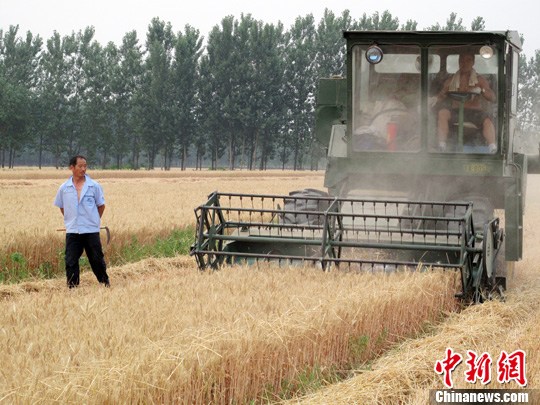 多个粮食主产区量减价跌一些地方亏损严重