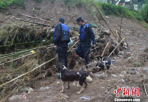 图为公安警犬搜救队搜寻小媛。 文成警方供图