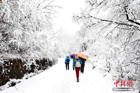 受寒潮影响，2017年3月12日，甘肃崆峒山景区迎来一场鹅毛大雪。徐振华 摄