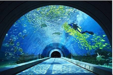 海棠湾洲际酒店海底餐厅