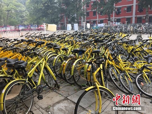 资料图。北京某所高校内的共享单车数量惊人。中新网 吴涛 摄