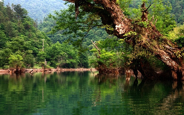 湖北 董家河