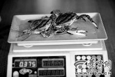 媒体揭水产市场卖蟹猫腻：包装占总重26%