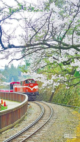 大陆赴台游客持续增长两岸旅游业各自强力推销