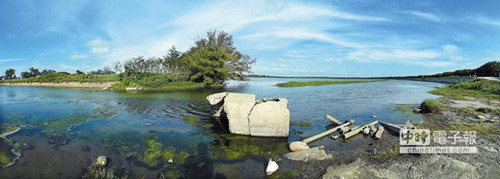 嘉义鳌鼓湿地候鸟陆续集结林管处将办赏鸟活动