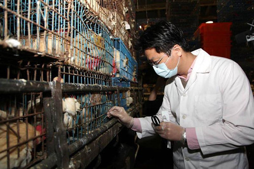 适逢市场休市日台北市家禽批发市场进行全面消毒