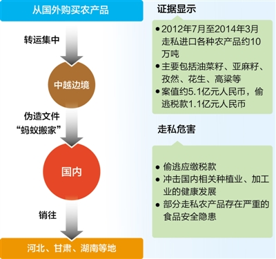 南京海关破获农产品走起案件 偷逃亿元税款