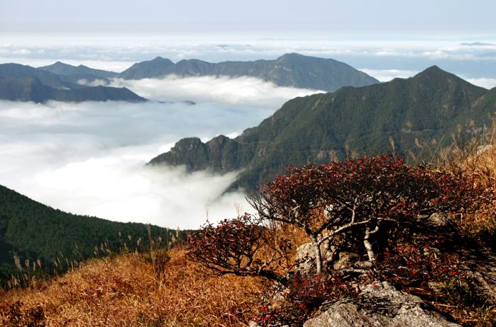 上海周边5大隐秘度假地