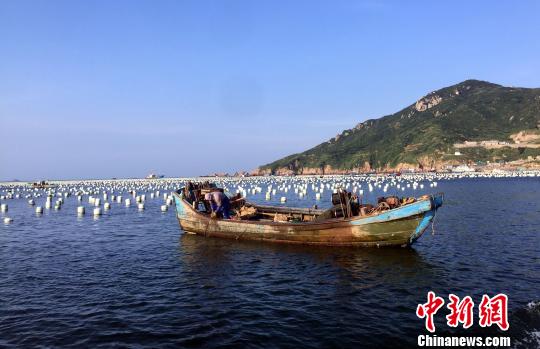 浙江嵊泗：保护“东海鱼仓”打造“海上牧场”