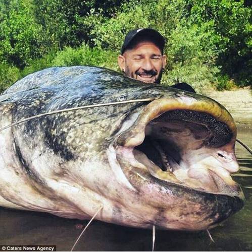 yuri和鲶鱼合影.