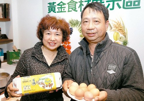 台湾有机畜牧场鸡只每天运动不怕禽流感（图）